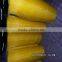 Plastic insect screen netting for doors and windows