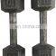 Professional New Style Gym Fitness Equipment Dipping Gym Dumbbell Set