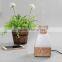 New invention scented wood air freshener
