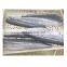 IQF Spanish mackerel fish fillet boneless skin on