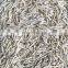 Promotion of New Crop 10 * 10MM IQF Fresh  frozen Burdock silk