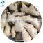 Large quantity  high quality  various types Fresh ginger Air dry Ginger