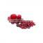 10%-50% Proanthocyanidins Cranberry Extract Powder bulk