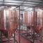 Professional Copper Mirror Small Beer Brewing Systems , Nano Brewery Equipment