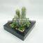 Office decorative artificial plants artificial tropical plants with square pot series