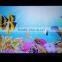Android 4.4 System Smart LED Projector Support APK Software Android Mini Projector