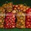 45x75cm cheap and good quality red Hdpe onions mesh net sacks