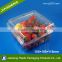 New Products Customizd Plastic Clamshell Fruit Food Containers Blister Packing