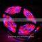 2015 high quality 5w LED Strip Lights solar powered led strip lights