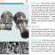 PVC pipe extrusion mould, PE Winding Pipe Extrusion Mould