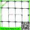 2*2cm hole size anti bird mesh,trellis bird protection net,garden cover mesh fencing net