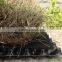 2013 new Sheet Drain drainage sheet roof garden