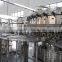Cost effective Automatic PET Bottle Carbonated Water Filling Machine