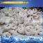 Sell like hot cakes very large frozen frozen ark 900 l built-in trolley easy operation