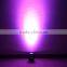 New Design and Hot Selling 6*4-in-1 RGBW Wireless Par Light Wedding/Party/Shows