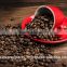 High Quality Arabica Medium Roasted coffee beans