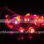 2016 China Supplier LED Christmas Lights with Battery Operated