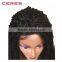 New products 2016 Popular Style Twist Braided Wigs For Black Women Omber Synthetic Wig Braided Lace Front Wig                        
                                                Quality Choice
