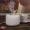 12v Electric Essential Oil Fragrance Nebulizer Diffuser With Cool Mist