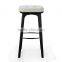 BS008 Shower sex stool