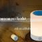 Home audio of colorful LED light wireless bluetooth speaker smart music light music player