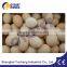 CYCJET Of Egg Inkjet Printer /ALT390 Expiry Date Printer Machine