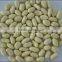 Lower price blanched peanut kernels long type