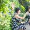 China Wholesale Chiffon Dress Fashion Women Daughter Chiffon Dress