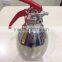 Car mini fire extinguisher