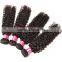 Top Quality 100% Afro Kinky Human Hair, Wholesale Cheap Peruvian Virgin Remy Hair