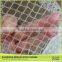China Exporter Anti Netting Bird