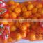 Hot sale Nanfeng baby mandarin, baby orange