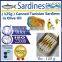 ( 125g ) Canned Tunisian Sardines in Olive Oil, Canned Sardines in Olive Oil,125g Tunisian Sardines in Cans in Olive Oil,125 g
