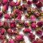 Rose buds