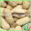 Dried Organic Peanuts In Shell From China