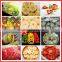 Good service salad and pineapple cutting machine/ Fruit&vegetable cutter slicing machine