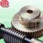 small precision worm gears