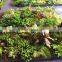 Home garden wedding decoration 200cm*40cm green boutique with moss carpet grass wall EJPQ03 0507