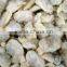 2016 BEST CHOICE CLAM SUPPLIER SHORT NECKED CLAM