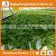 Heracles 2016 hot sale flower pot vertical garden green wall with hydroponics system