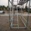 Q345 standard ringlock system scaffolding