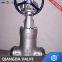 Api Gate Valve Psb Type 600~2500LBS RTJ, кран Psb, задвижка, кран RTJ