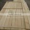 Fresh or Dried HIGH quality WHITE BIRCH TIMBER