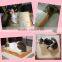 toast pillow with soft crystal and beautiful logo printing cat cushion