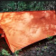 Pvc Coated Tent Fabric Outdoor Tarp Moisture Resistant