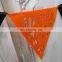 amazon hot selling product felt outdoor bunting flag