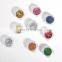 Wholesale Platinum Foil Flakes Nail Art Pigment Mirror Effect Chrome color Mirror Foil Powder