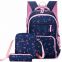 School Backpack School Bags Sets 3 in 1 Student Bookbag with Lunch Bag and Pencil Case