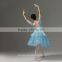 Fairy Pancake Ballet Tutu, Professional Customized Tutu (DZ000020)