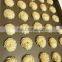 PLC automatic biscuit cookie machine